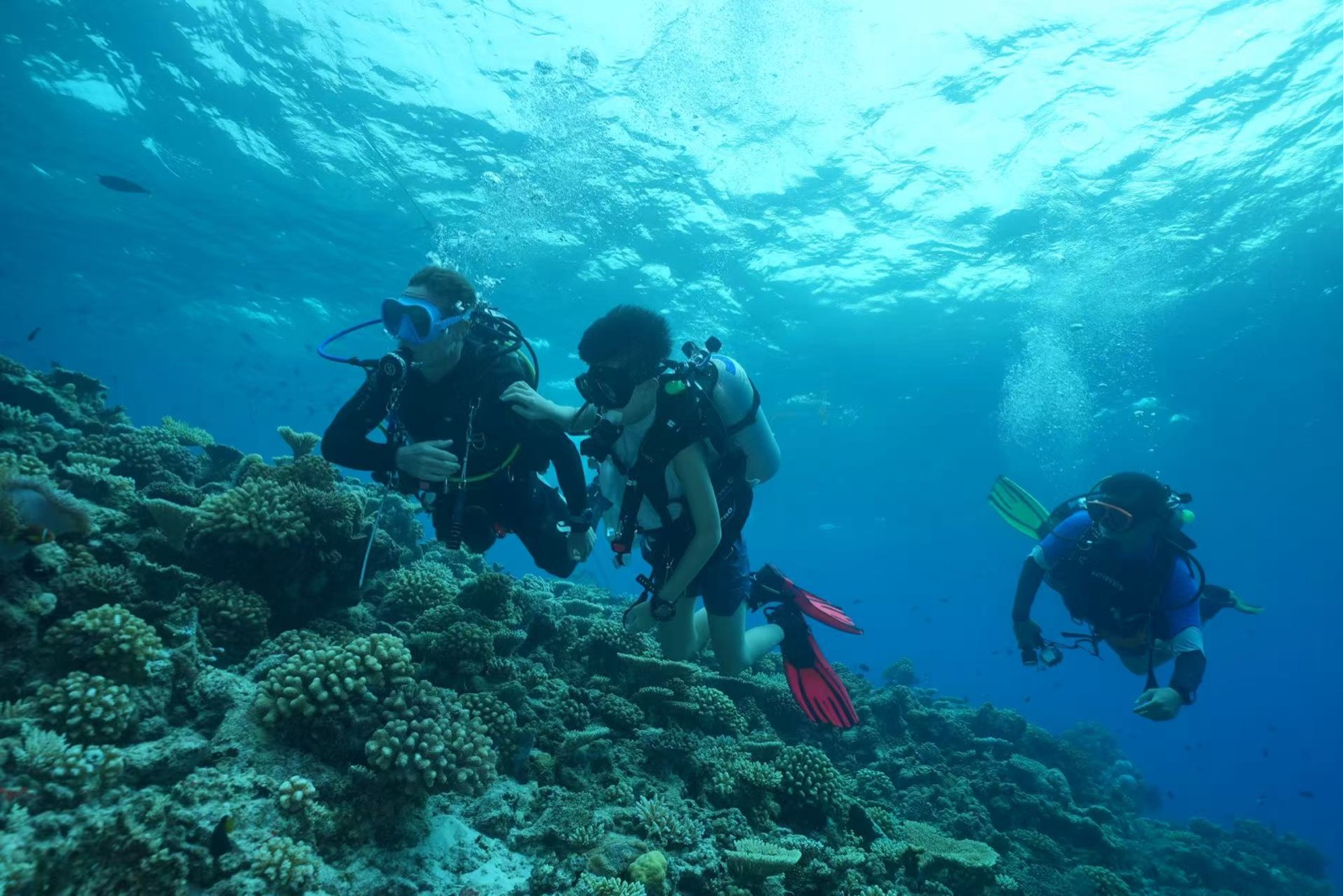 Diving